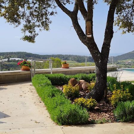 Casa Rural Madre Del Agua. Finca El Robledillo Monesterio Εξωτερικό φωτογραφία