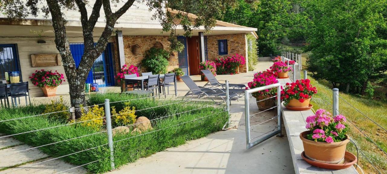 Casa Rural Madre Del Agua. Finca El Robledillo Monesterio Εξωτερικό φωτογραφία